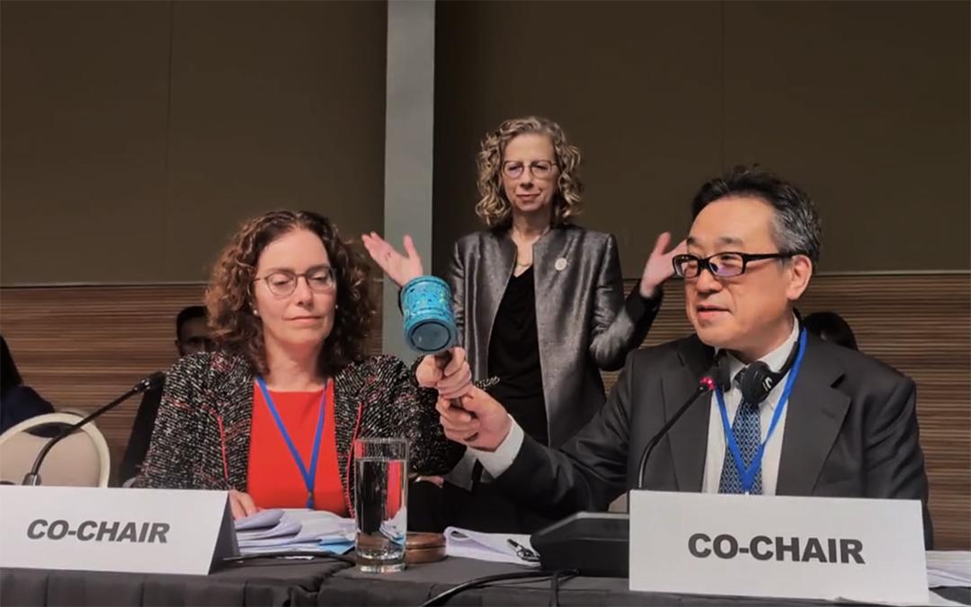 Lead Picture - OEWG32 - 20
